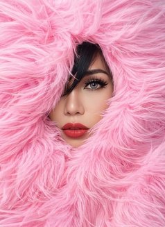 Sonia Shemale Cantik Here - Transsexual escort in Johor Bahru Photo 1 of 8