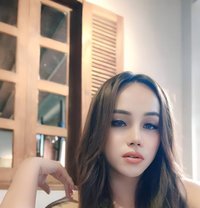 Sonia Shemale Cantik Here - Transsexual escort in Johor Bahru