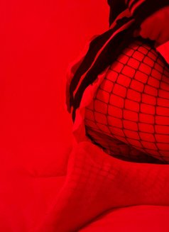 Sonic pop - Transsexual escort in Dammam Photo 6 of 10