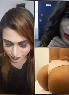 Soniya Shemale - Transsexual escort in Colombo Photo 11 of 17