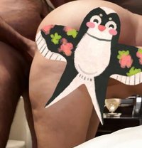 Sonu1234 - Male escort in Ghaziabad