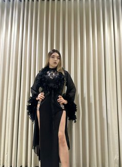 Sonya - Transsexual escort in Riyadh Photo 11 of 12