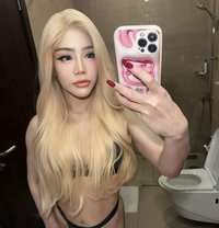 Sonya - Transsexual escort in Al Manama