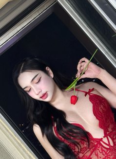 Sooyeon - Acompañantes transexual in Busan Photo 6 of 6