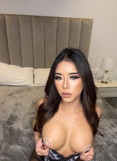 Sophia big dick 🇹🇭Arrived - Acompañantes transexual in Riyadh Photo 1 of 8