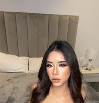 Sophia big dick 🇹🇭Arrived - Acompañantes transexual in Riyadh