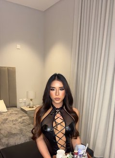 Sophia big dick 🇹🇭Arrived - Acompañantes transexual in Riyadh Photo 4 of 8