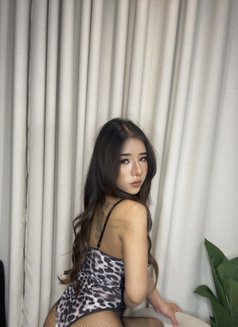 Sophia big dick 🇹🇭Arrived - Acompañantes transexual in Riyadh Photo 6 of 8