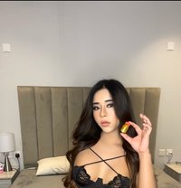 Sophia big dick 🇹🇭Arrived - Acompañantes transexual in Riyadh