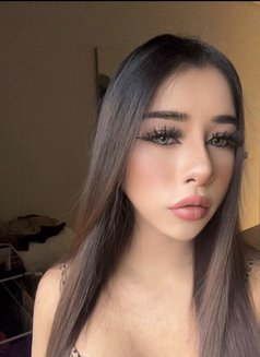 Sophia big dick 🇹🇭Arrived - Transsexual escort in Riyadh Photo 8 of 12