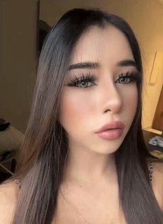 Sophia big dick 🇹🇭Arrived - Transsexual escort in Riyadh Photo 9 of 12