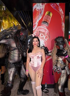 Sophia - puta in Dubai Photo 8 of 8