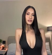 Sophia - Transsexual escort in Manila