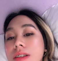 Sophia - Transsexual escort in Hong Kong
