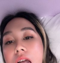 Sophia - Transsexual escort in Hong Kong