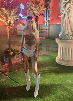 Sophia Good Service 🇹🇭 last days - Transsexual escort in Seoul Photo 17 of 17