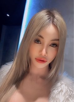 Sophia Good Service 🇹🇭 - Acompañantes transexual in Tokyo Photo 1 of 14