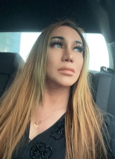 Sophia Model X service - Transsexual escort in Abu Dhabi Photo 3 of 14