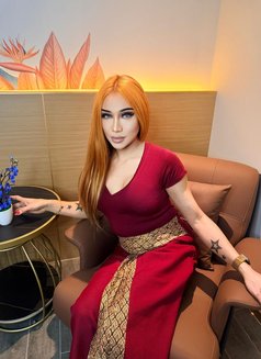 Sophia Model X service - Transsexual escort in Abu Dhabi Photo 9 of 14