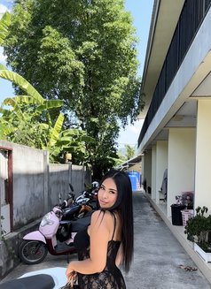 Sophia Kohsamui girl🇹🇭 - escort in Ko Samui Photo 3 of 28