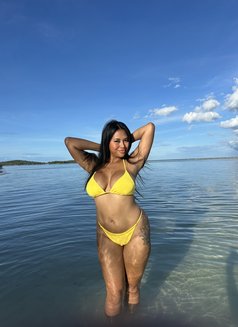 Sophia Kohsamui girl🇹🇭 - puta in Ko Samui Photo 3 of 26
