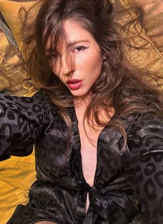 Sophia Luxury GFE & PSE (Independent) - escort in Milan Photo 7 of 13