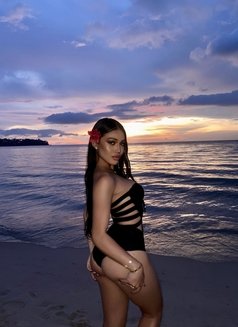 Sophia Perfect Ladyboy 🇹🇭 - Acompañantes transexual in Bangkok Photo 4 of 29