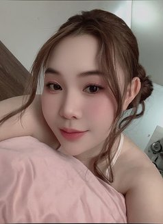 Sophia New in Business Bay - escort in Dubai Photo 1 of 4