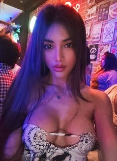 Sophia Sexvip🇹🇭 - Transsexual escort in Bangkok Photo 11 of 13