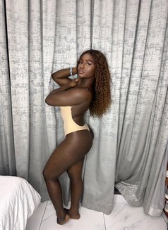 Sophia - escort in Dubai Photo 5 of 5