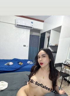 Sophia (studentpinkishhornyPussy) - escort in Bangkok Photo 19 of 27