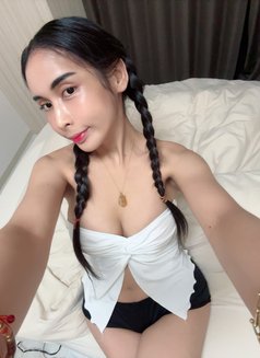 Sophia (studentpinkishhornyPussy) - escort in Yokosuka Photo 25 of 25