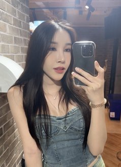 Sophia - escort in Bangkok Photo 2 of 12