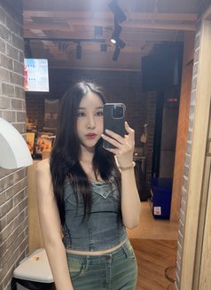 Sophia - escort in Bangkok Photo 4 of 12