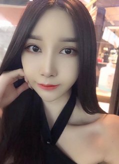 Sophia - escort in Bangkok Photo 5 of 12