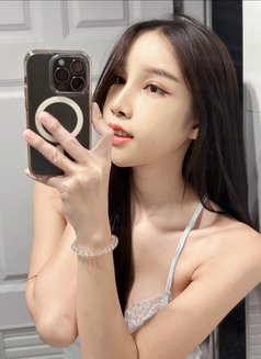 Sophia - escort in Bangkok Photo 6 of 12