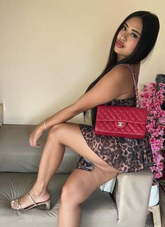 🏝️Sophia🇹🇭🇹🇭 - escort in Ko Samui Photo 1 of 7