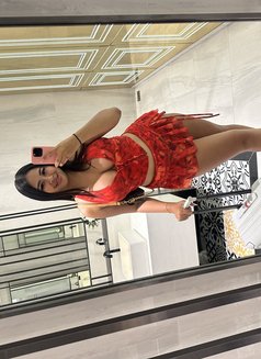 🏝️Sophia🇹🇭🇹🇭 - escort in Ko Samui Photo 9 of 9