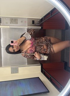 🏝️Sophia🇹🇭🇹🇭 - escort in Ko Samui Photo 8 of 12