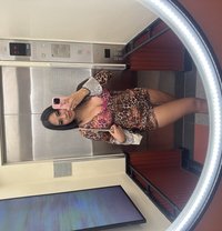 🏝️Sophia🇹🇭🇹🇭 - puta in Ko Samui Photo 10 of 12