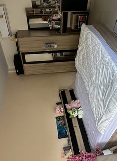 🏝️Sophia🇹🇭🇹🇭 - escort in Ko Samui Photo 10 of 12
