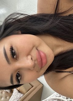 🏝️Sophia🇹🇭🇹🇭 - escort in Ko Samui Photo 11 of 12