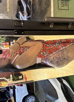 🏝️Sophia🇹🇭🇹🇭 - puta in Ko Samui Photo 13 of 15