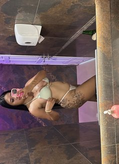 🏝️Sophia🇹🇭🇹🇭 - puta in Ko Samui Photo 14 of 15