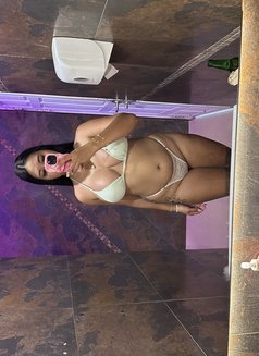 🏝️Sophia🇹🇭🇹🇭 - puta in Ko Samui Photo 15 of 15