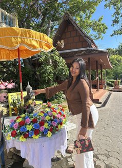 🏝️Sophia🇹🇭🇹🇭 - escort in Ko Samui Photo 22 of 22