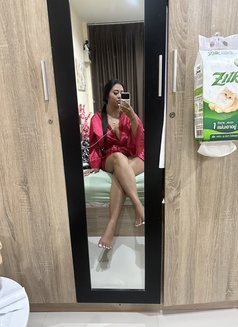 🏝️Sophia🇹🇭🇹🇭 - escort in Ko Samui Photo 22 of 25