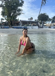 🏝️Sophia🇹🇭🇹🇭 - escort in Ko Samui Photo 21 of 24