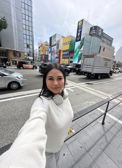 🇹🇭Sophia kohsamui 🏝️ - escort in Ko Samui Photo 24 of 25