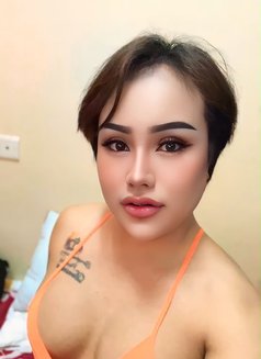 Sophia - Transsexual escort in Al Sohar Photo 2 of 5